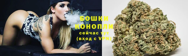 крисы Ростов