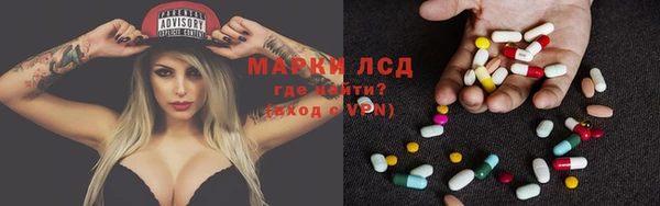 крисы Ростов