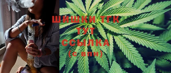 2c-b Рославль