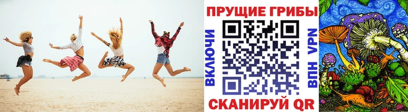 Галлюциногенные грибы мицелий  Камень-на-Оби 